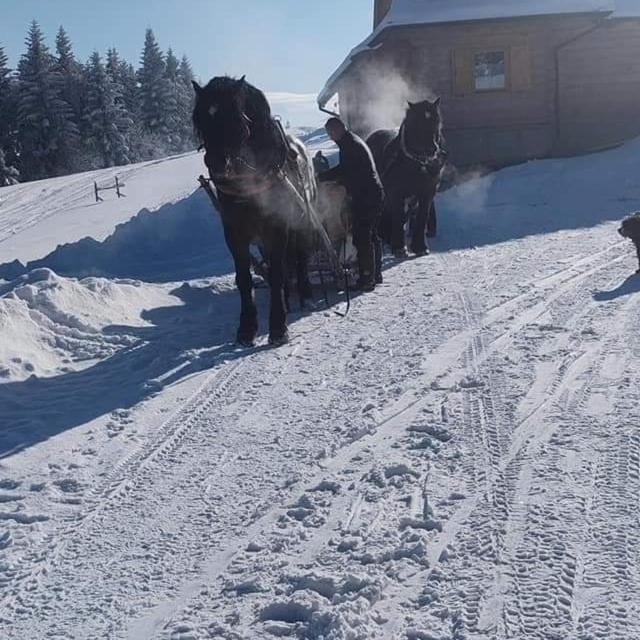 Vila Gosciniec Dziubasowki Nowy Targ Exteriér fotografie