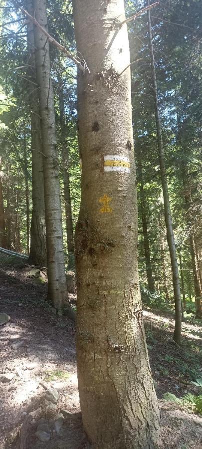 Vila Gosciniec Dziubasowki Nowy Targ Exteriér fotografie