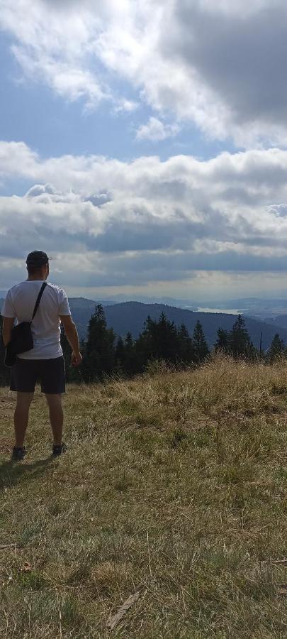 Vila Gosciniec Dziubasowki Nowy Targ Exteriér fotografie