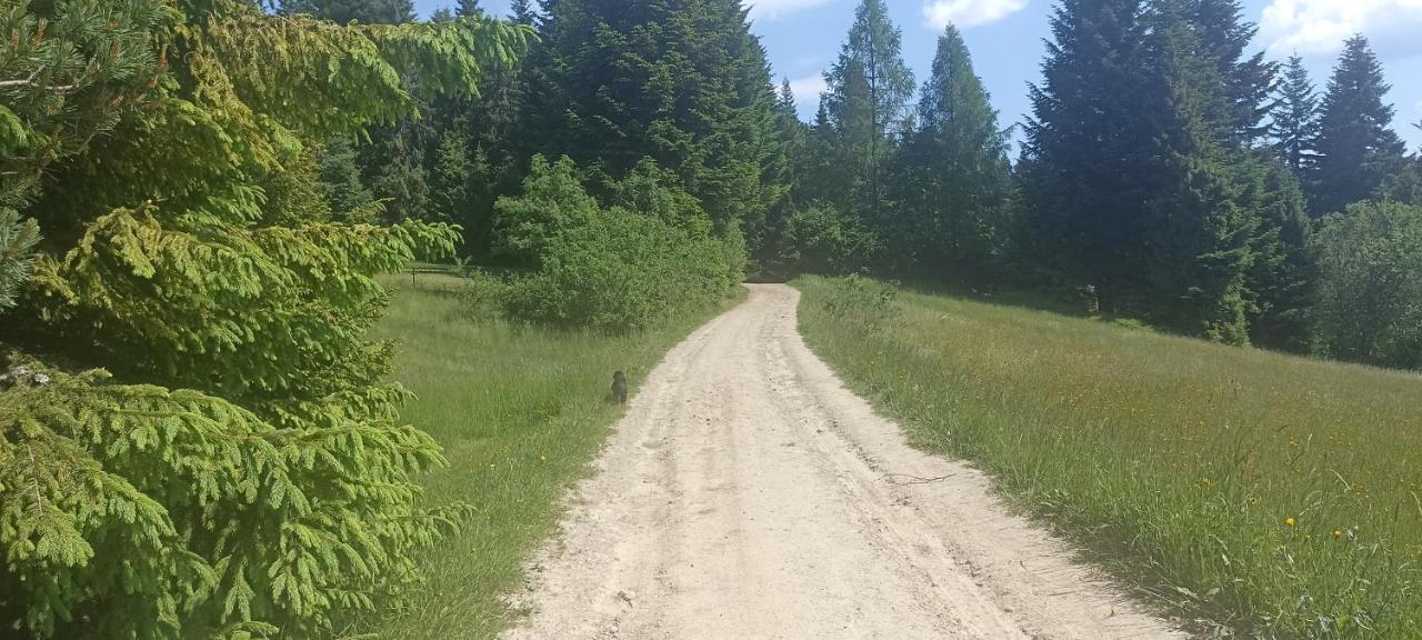 Vila Gosciniec Dziubasowki Nowy Targ Exteriér fotografie