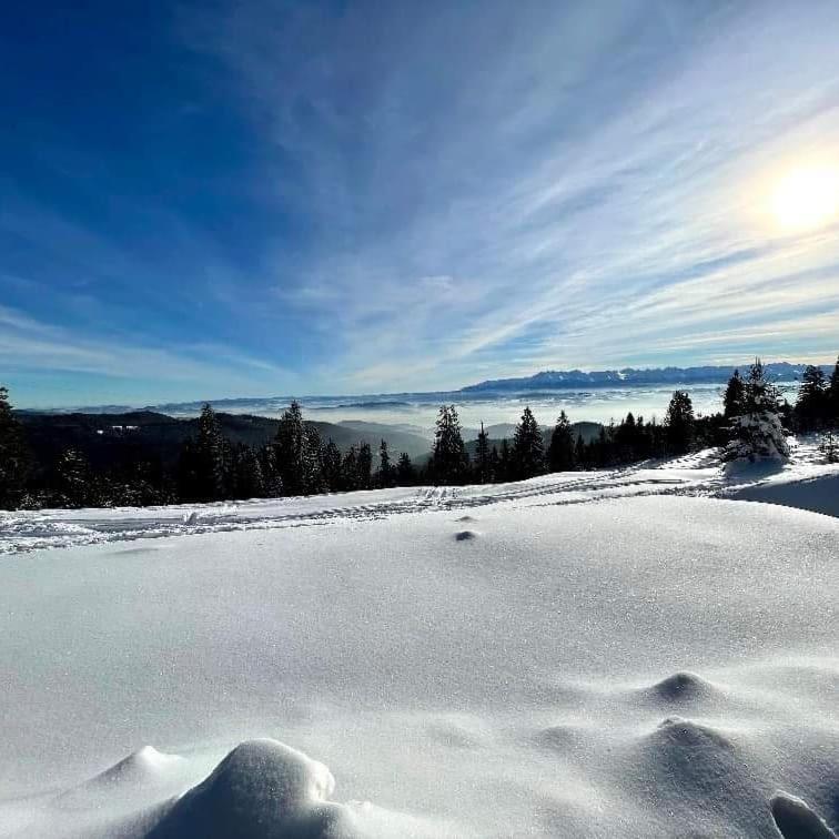 Vila Gosciniec Dziubasowki Nowy Targ Exteriér fotografie