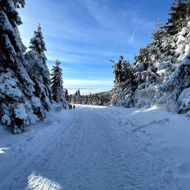 Vila Gosciniec Dziubasowki Nowy Targ Exteriér fotografie