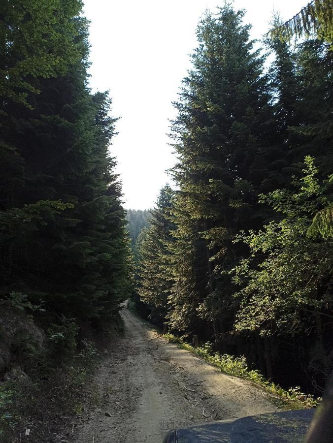 Vila Gosciniec Dziubasowki Nowy Targ Exteriér fotografie