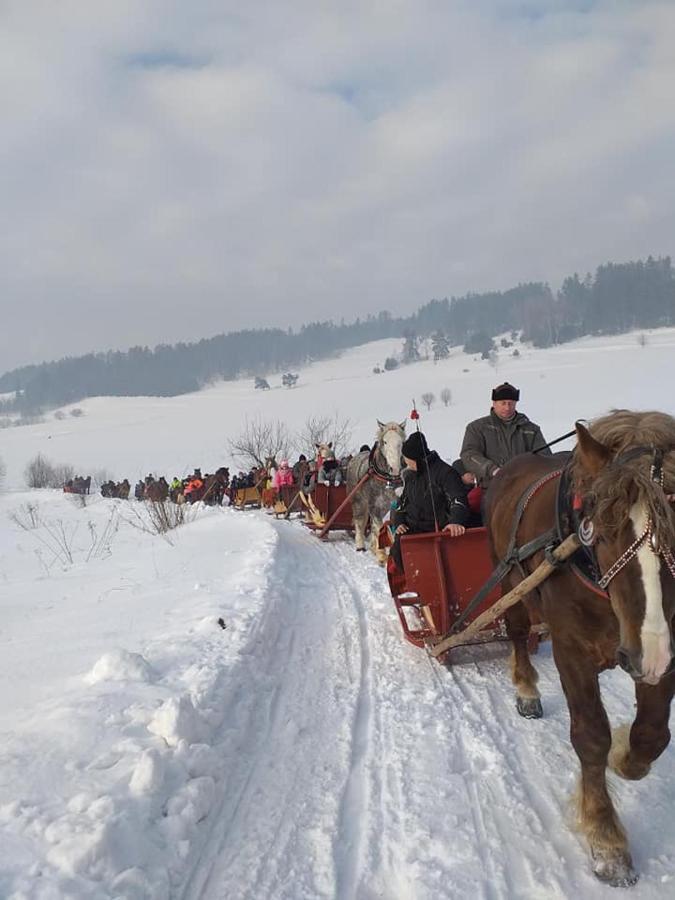 Vila Gosciniec Dziubasowki Nowy Targ Exteriér fotografie