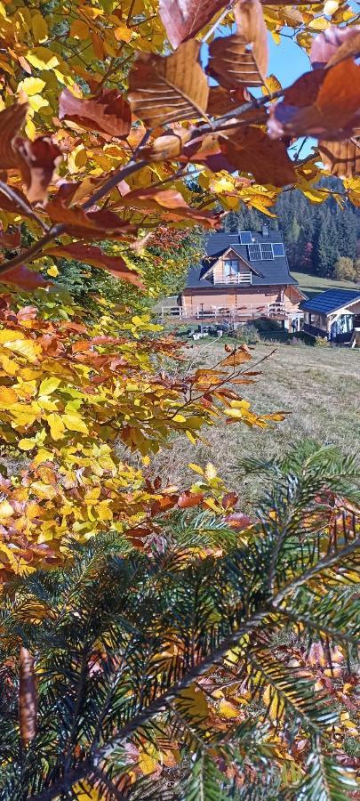 Vila Gosciniec Dziubasowki Nowy Targ Exteriér fotografie
