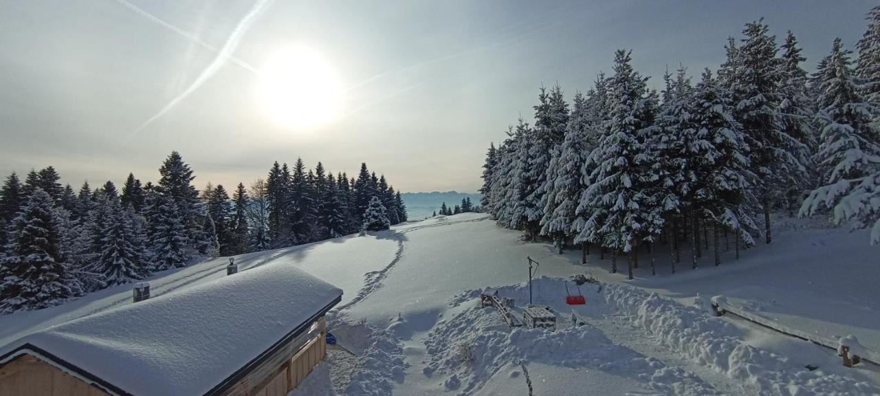 Vila Gosciniec Dziubasowki Nowy Targ Exteriér fotografie
