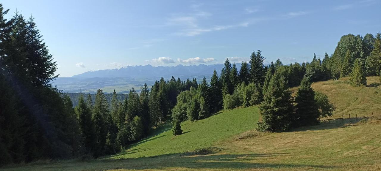 Vila Gosciniec Dziubasowki Nowy Targ Exteriér fotografie